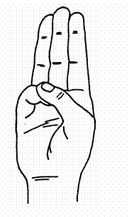 Text Box:  