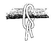 Text Box:  