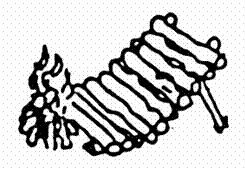 Text Box:  