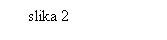 Text Box:     slika 2

