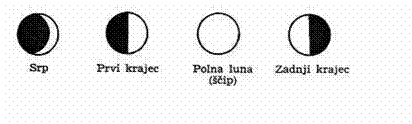 Text Box:  